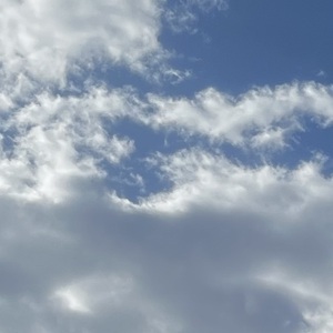 Fundraising Page: Diego Murillo